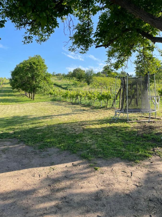 Apartamento Vinařství Ehrlich Milotice Exterior foto